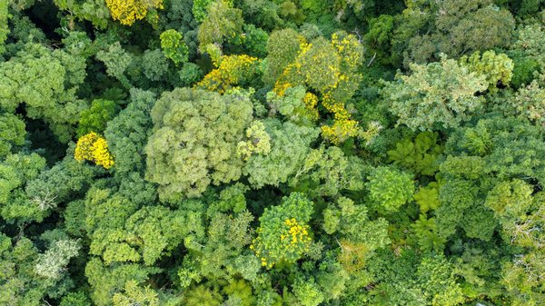 Les étoiles ascendantes du comique : découvrez la nouvelle vague de l'humour
