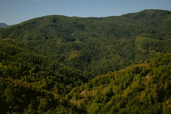 Comment les changements démographiques affectent-ils les systèmes de santé ?